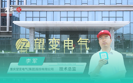 尊龙时凯·(中国)人生就是搏x望变电气